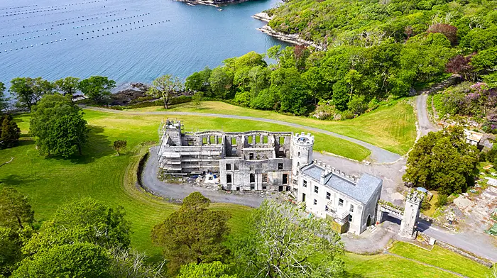 HOUSE OF THE WEEK Six-bed fixer-upper for €2.75m Image