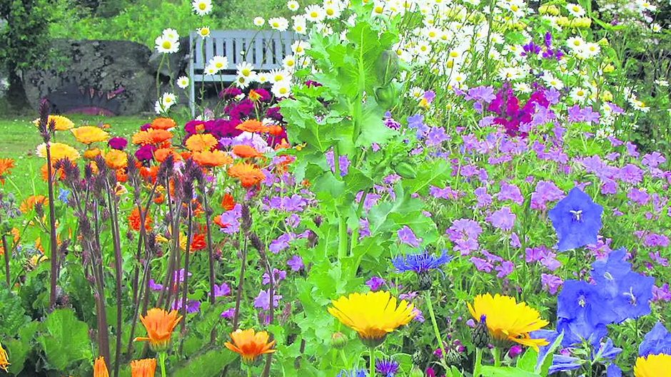 West Cork Garden Trail offers spectacular colour Image