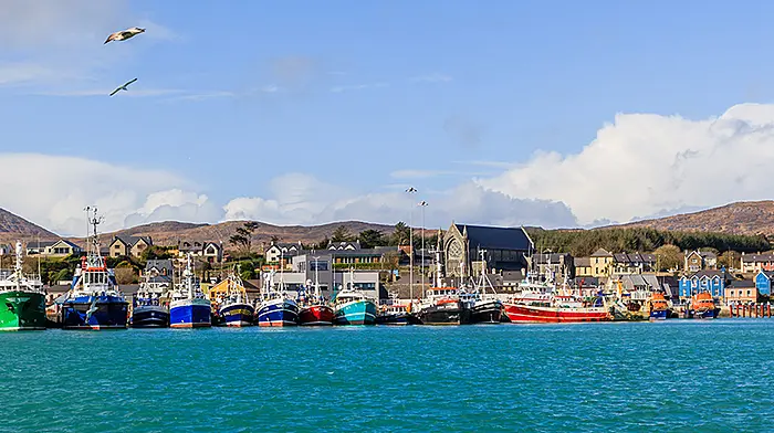 High Court to hear challenge against 2020 EU fishing quota regulation Image
