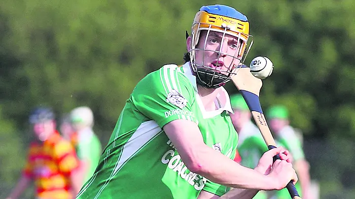 ‘If Darren Sweetnam stayed hurling, Patrick Horgan would have his All-Ireland medal’ Image