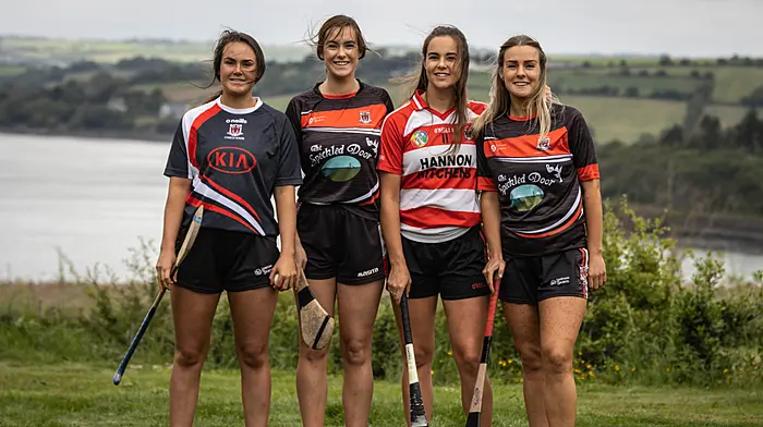 ‘You can drive past the pitch in Ballinspittle now and the gates are open’ Image