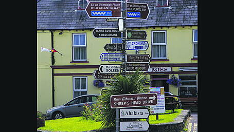 Urgent action needed to support hotels Image