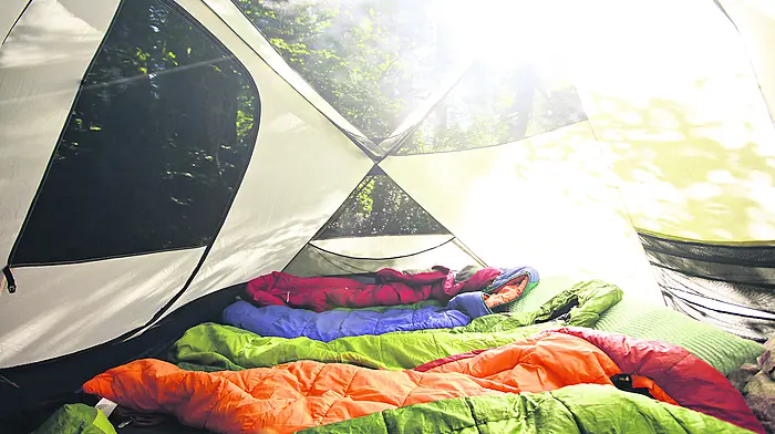DIARY OF A DEMENTED HOME WORKER:  Unzipped truth on our camping trip Image