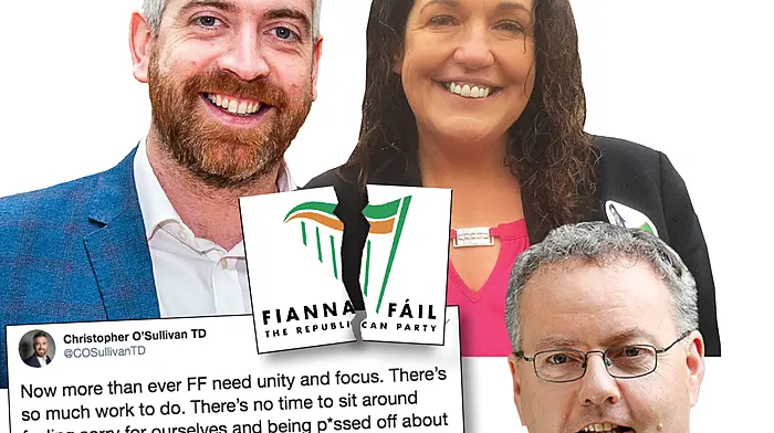 Former TD reacts sharply to tweet from new deputy Image