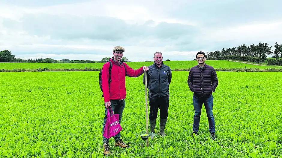 Carbery chases holy grail of Farm Zero C Image