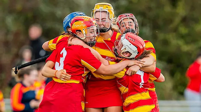 Newcestown trailblazers are keen to brew up another camogie storm this season Image