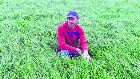 Consider the land you have  and what you can manage Image
