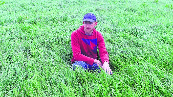 Consider the land you have  and what you can manage Image