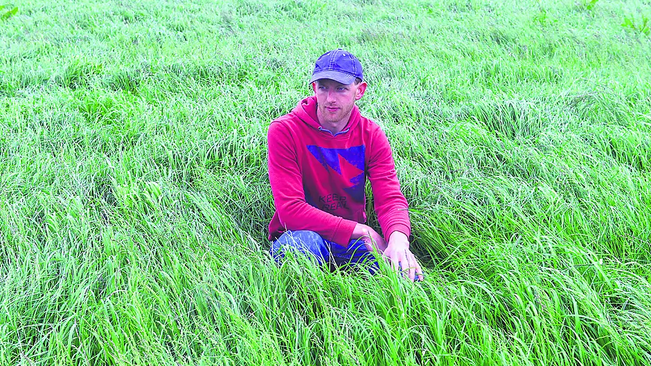Consider the land you have  and what you can manage Image