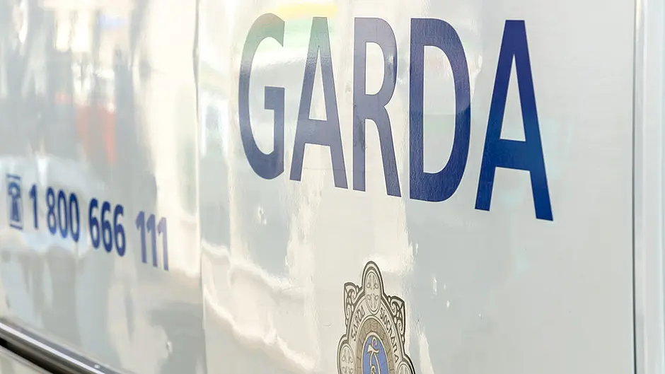 Gardaí appeal for owners of seized dogs Image