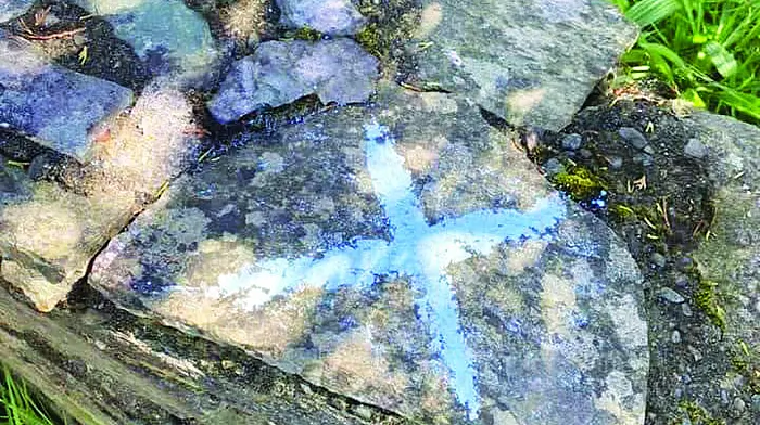 Dog thefts an ‘epidemic’ as drones are seen locally Image