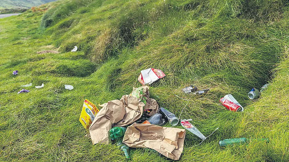 Dumping of litter on our beaches and strands is a major problem Image