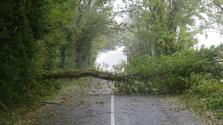 OPINION: DENIS LINEHAN. Our towns and villages are on the frontier of climate change Image