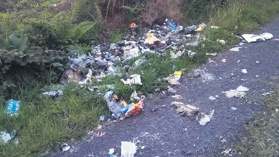 Illegal dumping is now at a ‘critical’ level in region Image