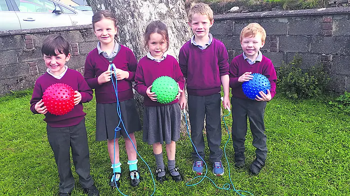 Time to exercise your vote and make Dromore the fittest school Image