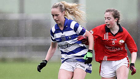 Castlehaven favourites in derby county junior B football decider against O'Donovan Rossa Image