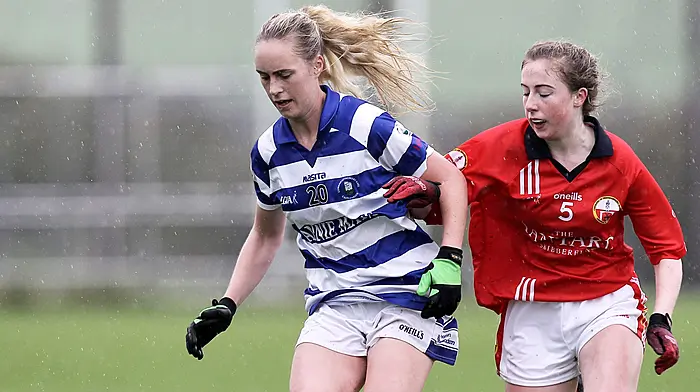 Castlehaven favourites in derby county junior B football decider against O'Donovan Rossa Image