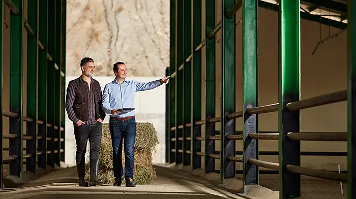 Key considerations for farm investment Image