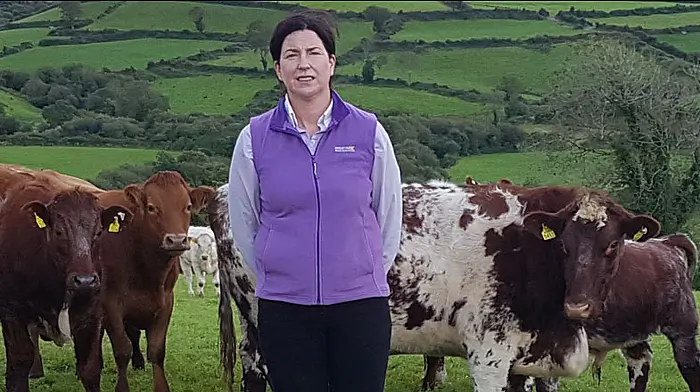 Pioneering Helen looks forward to working with the Cronin’s team Image