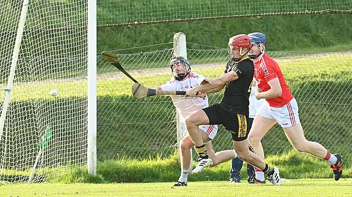 Brian Everard double inspires St Mary’s hurlers to glorious Carbery JAHC semi-final win Image