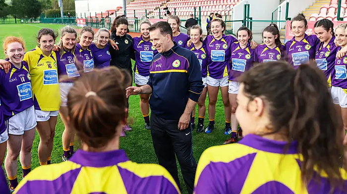 'Loss of West Cork divisional ladies team is hammer blow' Image