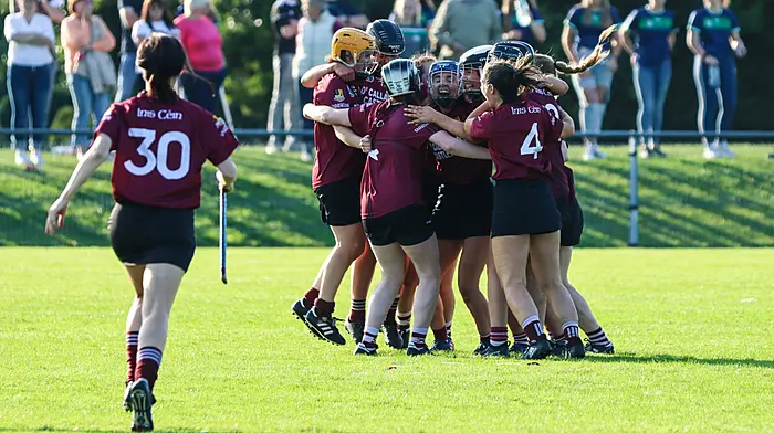 The only way is up for Enniskeane camogie after county intermediate championship glory Image