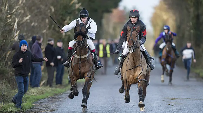 Blue Top Gun shoots down rivals at Ballygurteen races Image