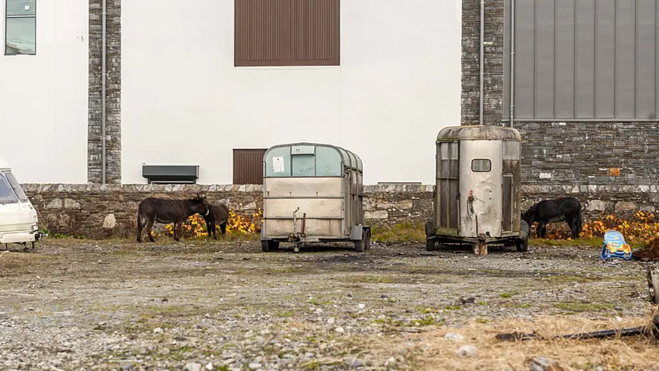 Local fury over ‘unofficial’ halting site with animals at scenic spot in Bantry Image