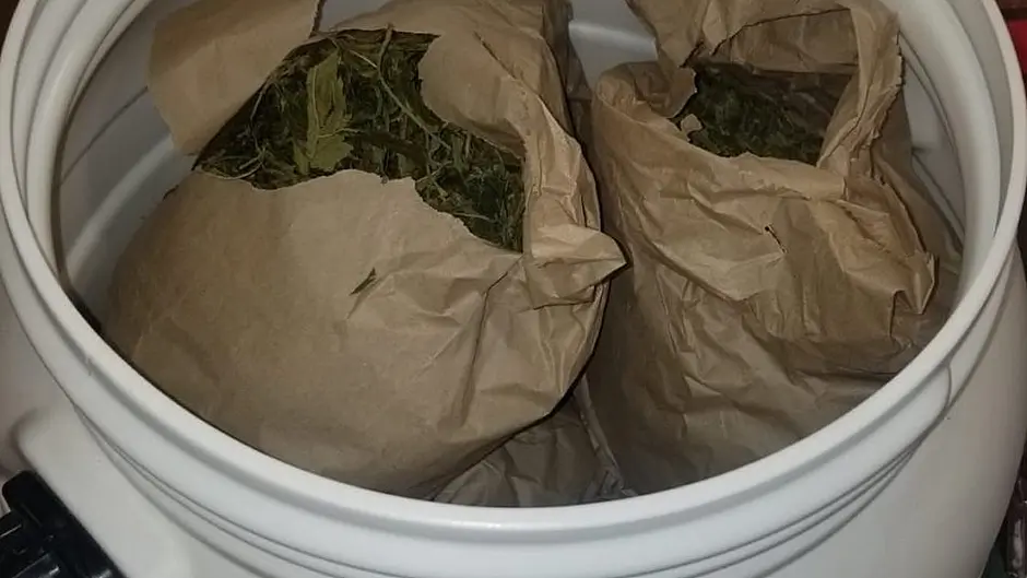 BREAKING: €300k worth of cannabis seized in Bantry area Image