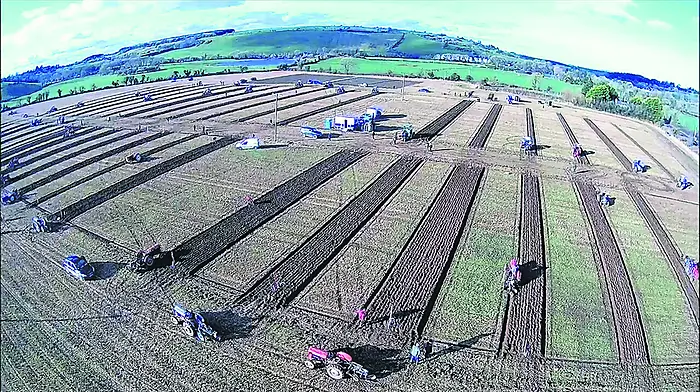 Large turnout for ploughing event Image