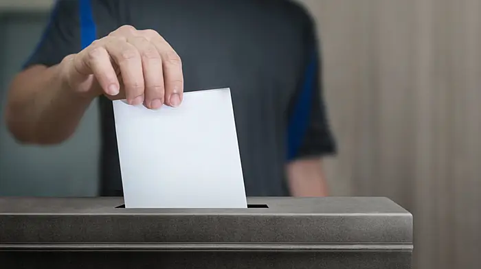 These are the 12 names that will appear on your Cork South West ballot paper Image