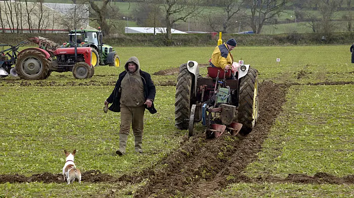 Large crowds due at 85th annual Timoleague ploughing match Image