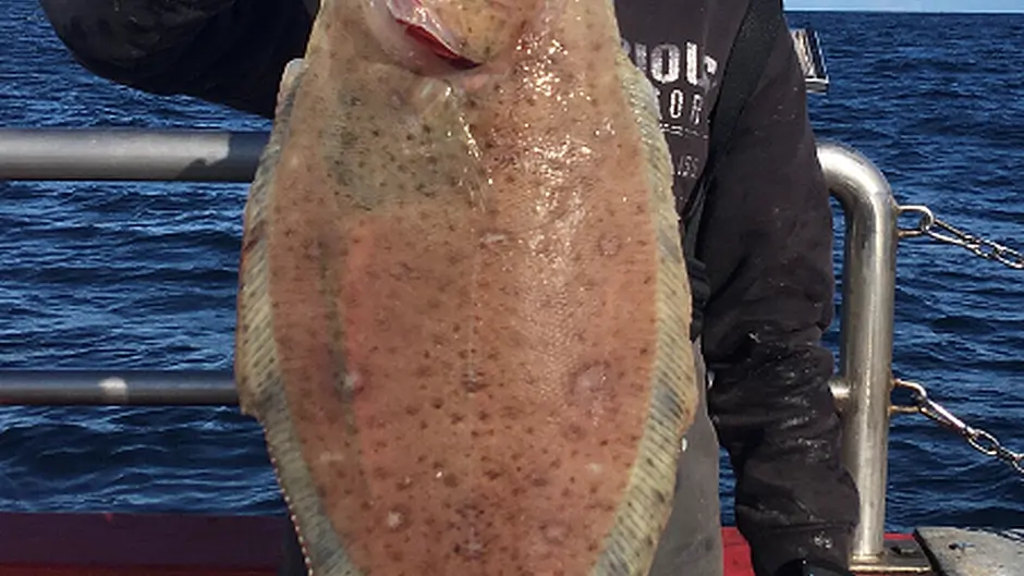 Evan lands a major haul in Union Hall Image