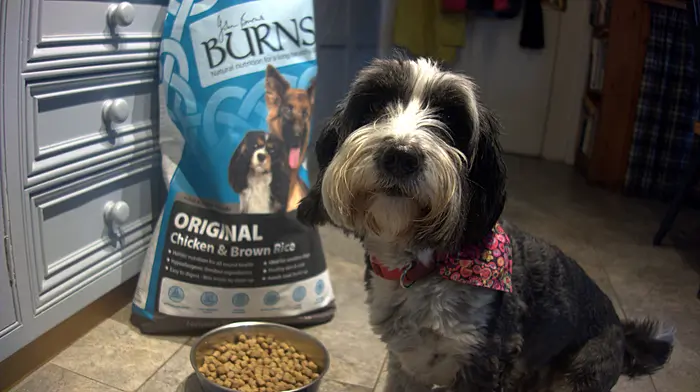 Animal charity wins year of petfood Image