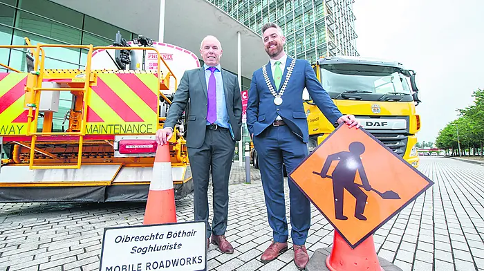 Tidy Towns are filling the gaps left by the Council Image
