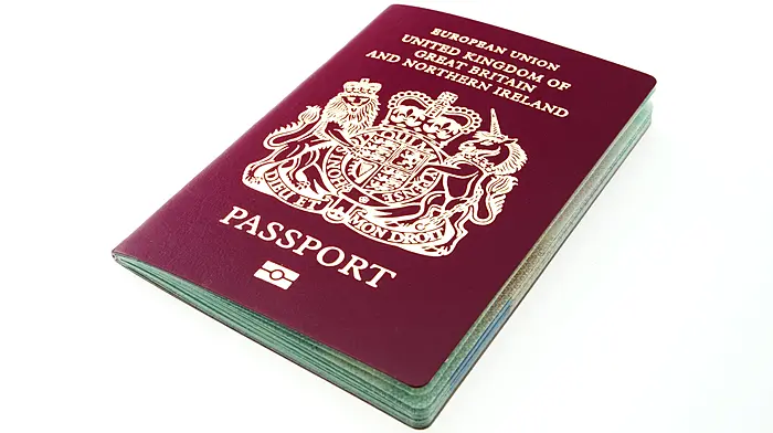 UK passport holders can still use EU customs queue – for now Image