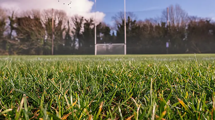 Nine Barryroe underage players ask to transfer out of their home club Image