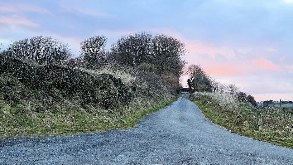 'No bowling activities whatever are allowed until further notice,' says Ból Chumann na hEireann Image