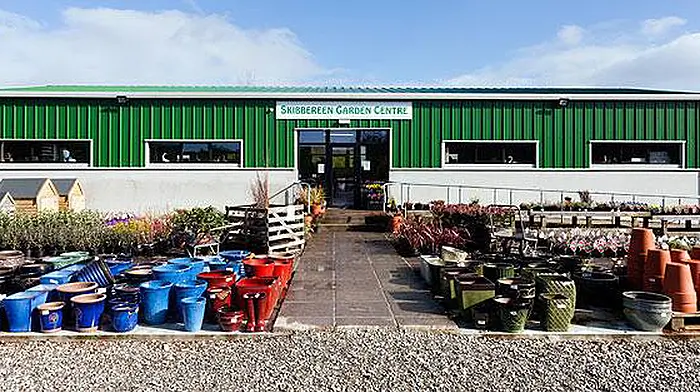 Big growth on way for Skibbereen family firm Image