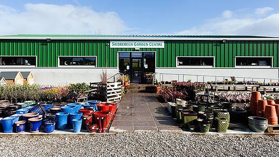 Big growth on way for Skibbereen family firm Image