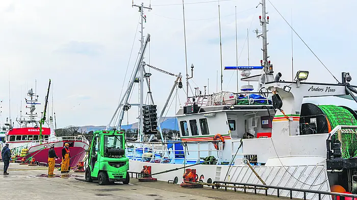 Fishermen stay resilient despite returning to port Image