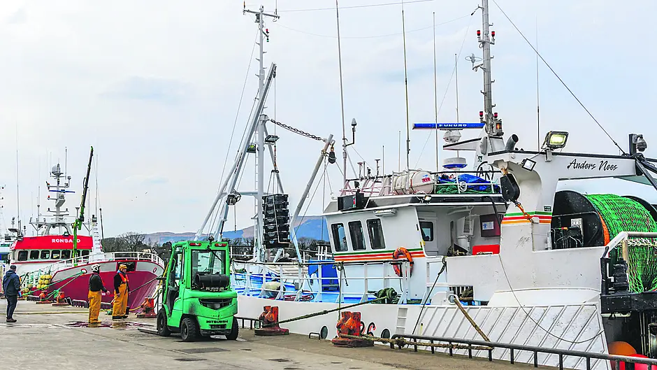 Fishermen stay resilient despite returning to port Image