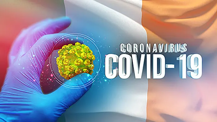 Covid-19 Friday: 7 deaths, 28 new cases Image