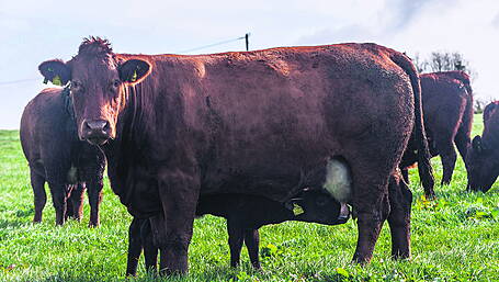 Farmers must be given credit  for the sequestering of carbon Image