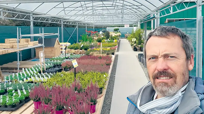 Garden centre expanding with a Covid-friendly outdoor sales area Image