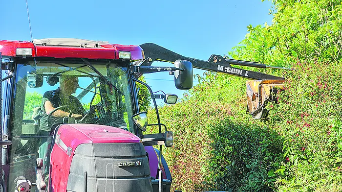 Landowners have duty to secure dangerous items Image