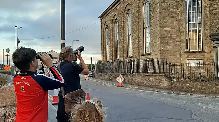 Council to provide nest boxes for Swifts and Barn Owls Image