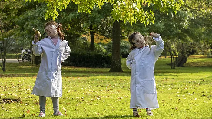 Lots to see at this year's online Cork Science Festival Image