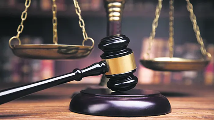 Gardaí pursued chef in 20km chase forcing others to take evasive action Image