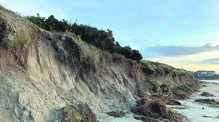 Dena probes Inchydoney’s disappearing sand dunes Image